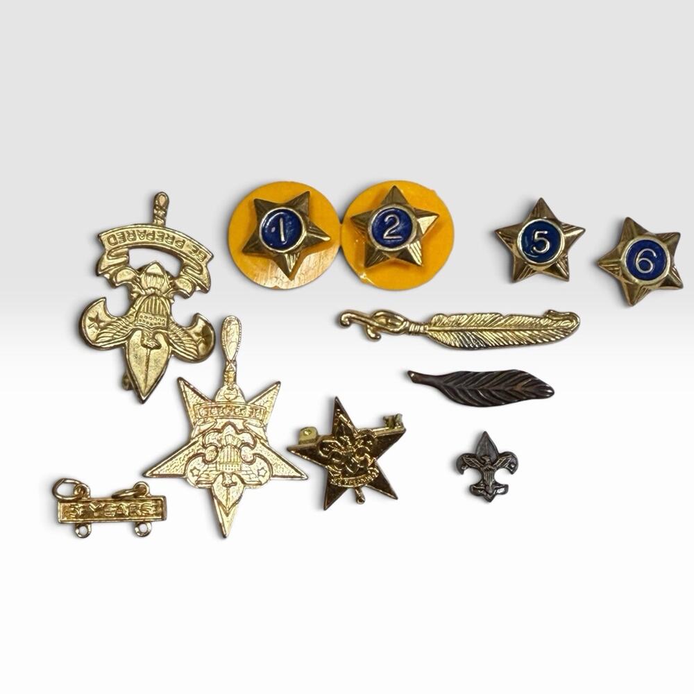 Vintage BSA Eagle Scout 11pc Lot Service Stars Palms Be Prepared Fleur de Lis